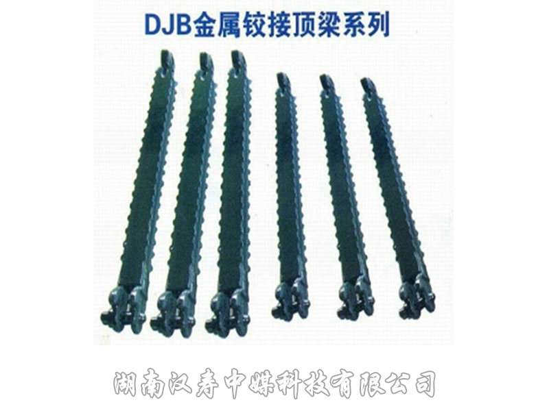 頂梁
