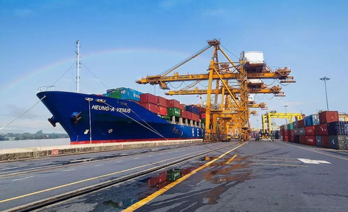 越南經(jīng)濟(jì)逆勢(shì)增長(zhǎng)背后的戰(zhàn)略選擇與文化潛力