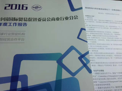 標準引領，智啟未來 李德偉出席2017年管理咨詢與培訓服務標準化研討會